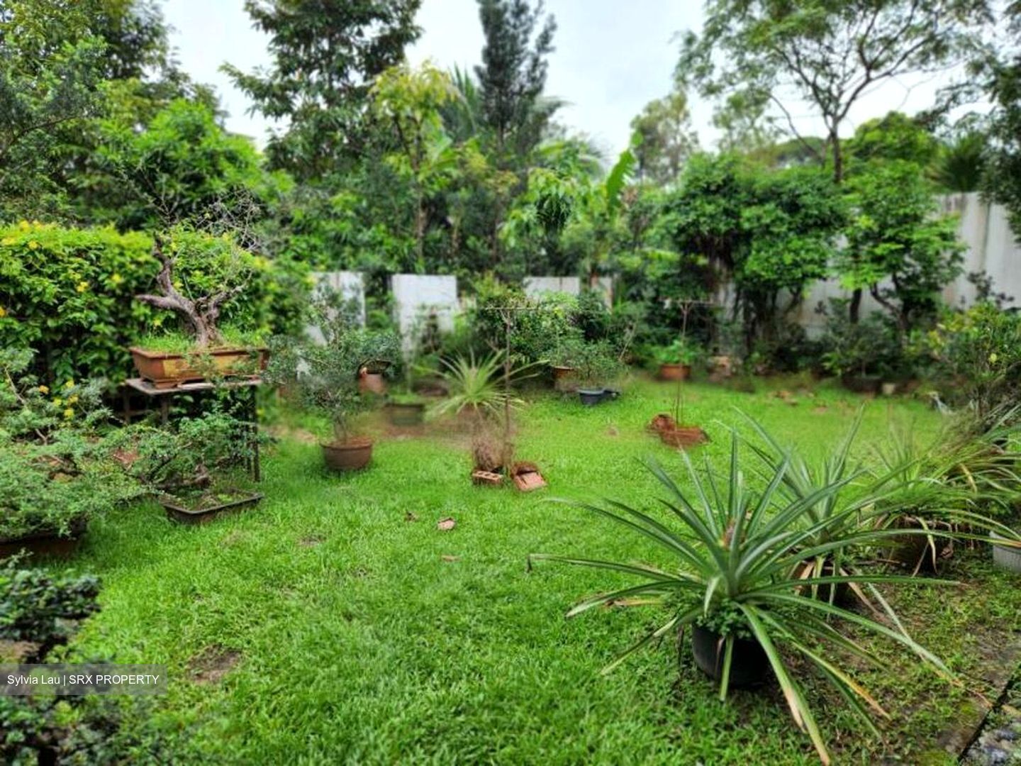 Frankel Estate (D14), Detached #458029631